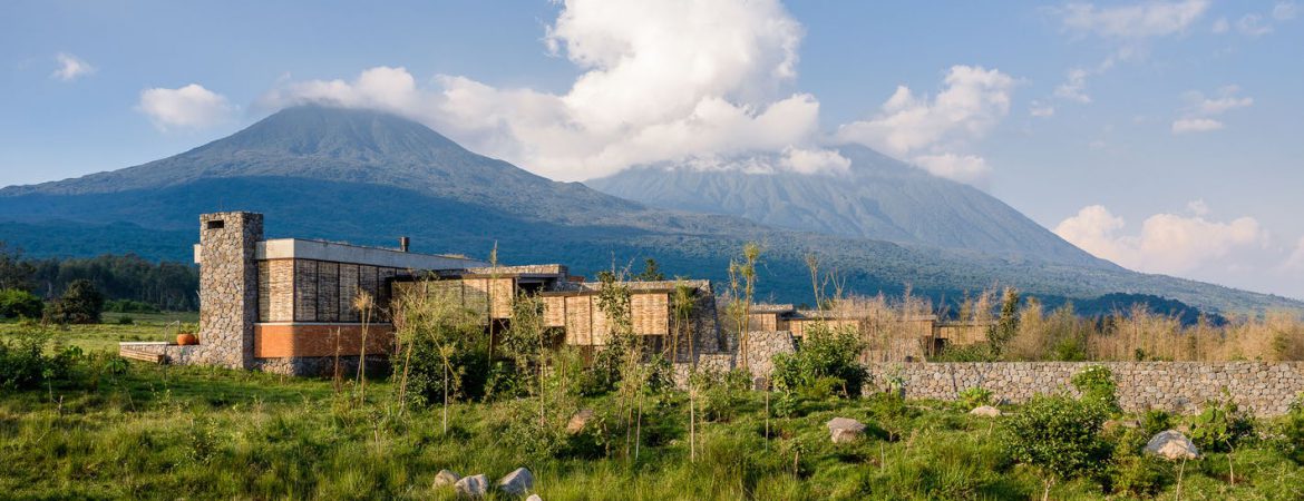 1 Day Gorilla Trekking PNV