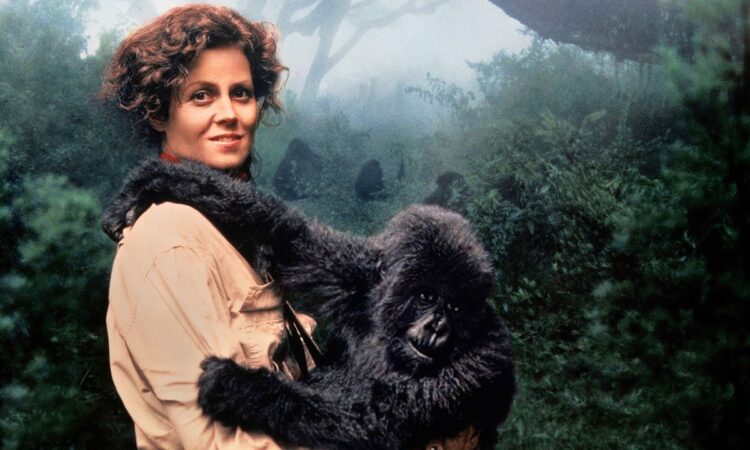 Dian Fossey