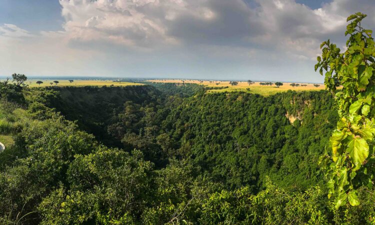 Kyambura Gorge