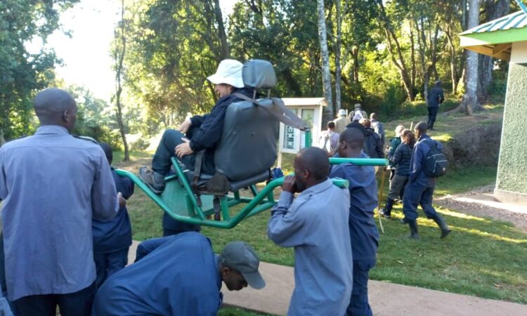 Gorilla trekking for the disabled