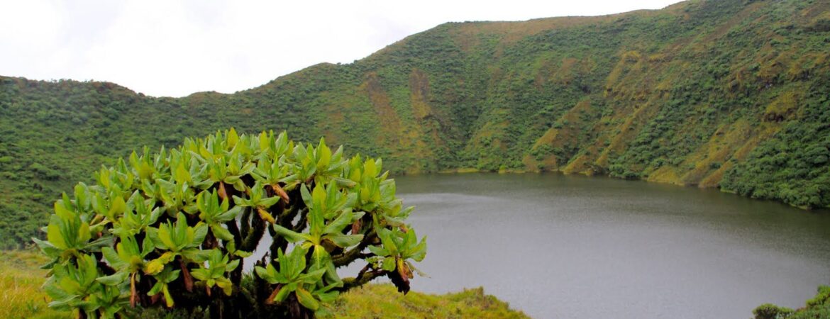 Mount. Bisoke