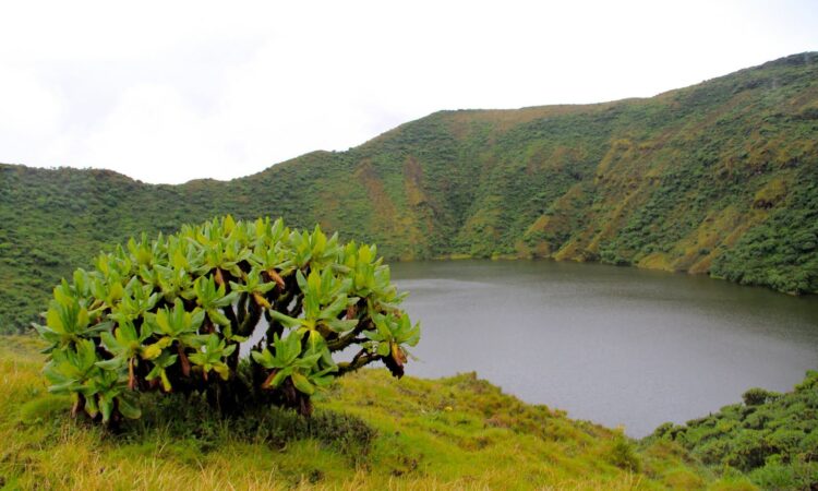 Mount. Bisoke
