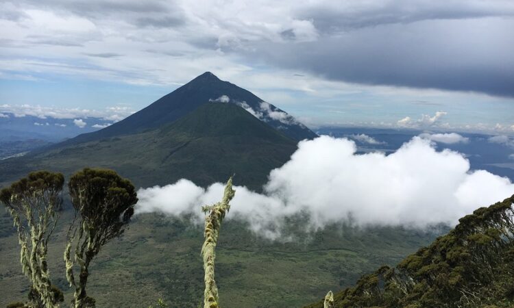 Mount. Gahinga